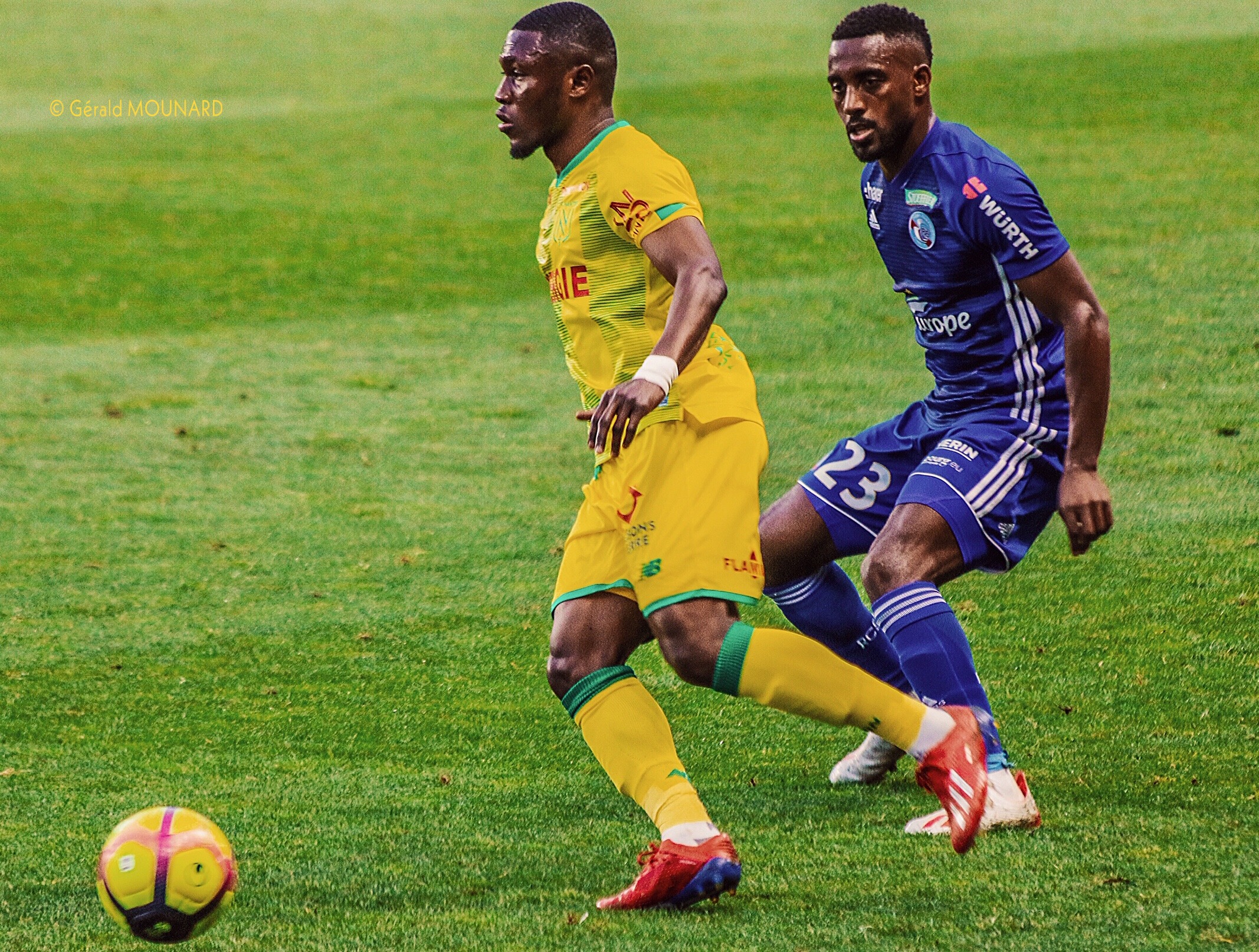 Des canaris sans ailes