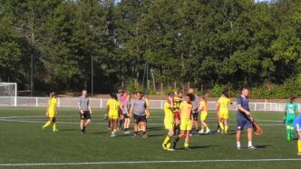 FCN – ASPTT Albi : Carton des Nantaises pour la première à domicile