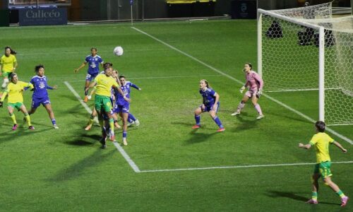 FCN-Strasbourg (0-1) : les Nantaises ont pédalé dans la choucroute