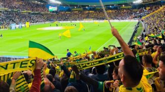 Jaune et vert, même dans la brume