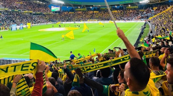 Jaune et vert, même dans la brume