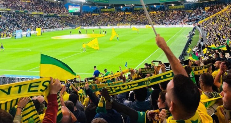 Jaune et vert, même dans la brume