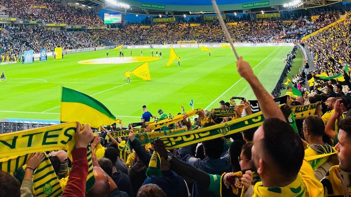 Jaune et vert, même dans la brume